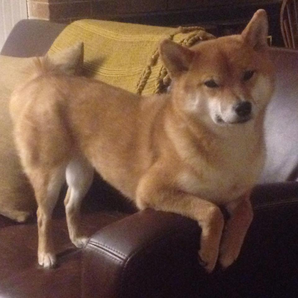 AYX GAMING-中国篮球在国际舞台上的影响力持续扩大，中国在篮球方面取得的成就