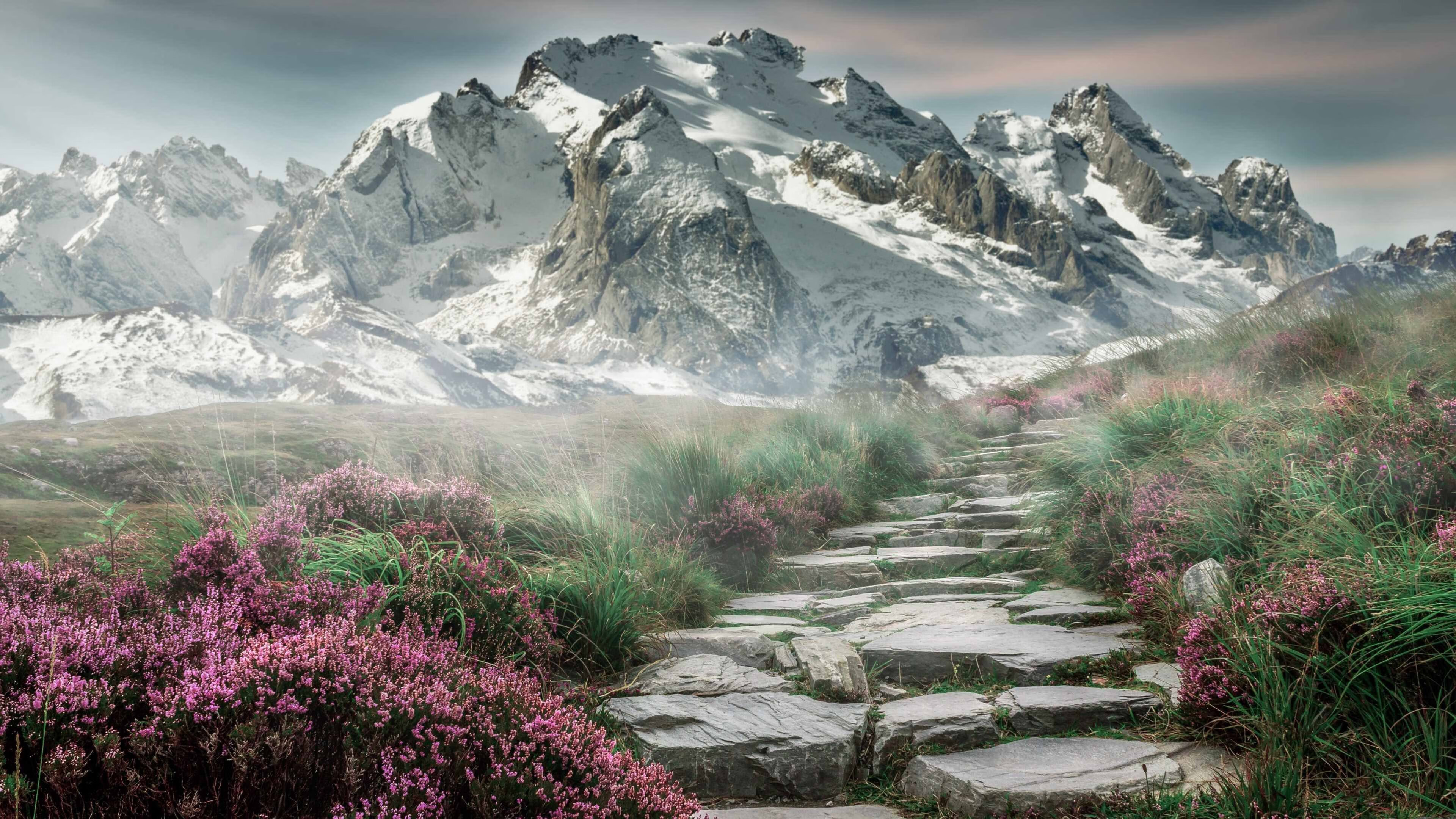 冠军之路:联盟顶尖球队的成功秘诀,冠军联盟是什么