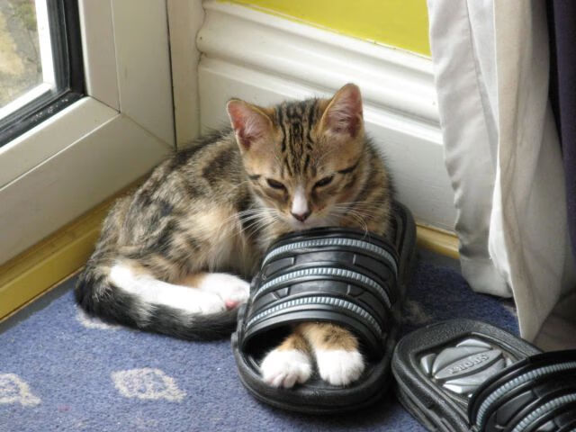 AYX SPORTS-中国男足在巴黎奥运会上表现出色，赢得银牌，中国 男足 奥运会