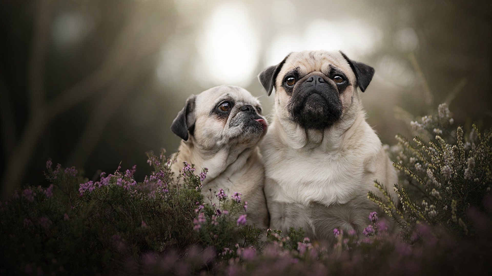 爱游戏官网-中国篮球青训基地管理模式，青年篮球培训基地