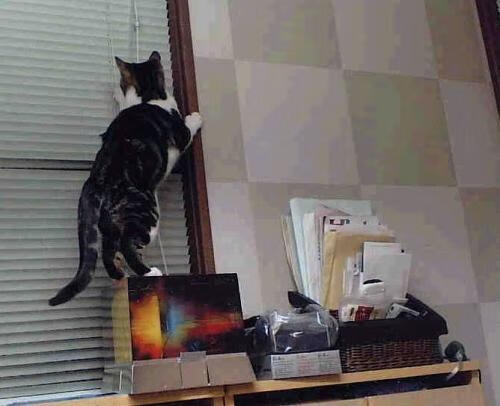 全球联赛积分榜更新，联赛世界排名