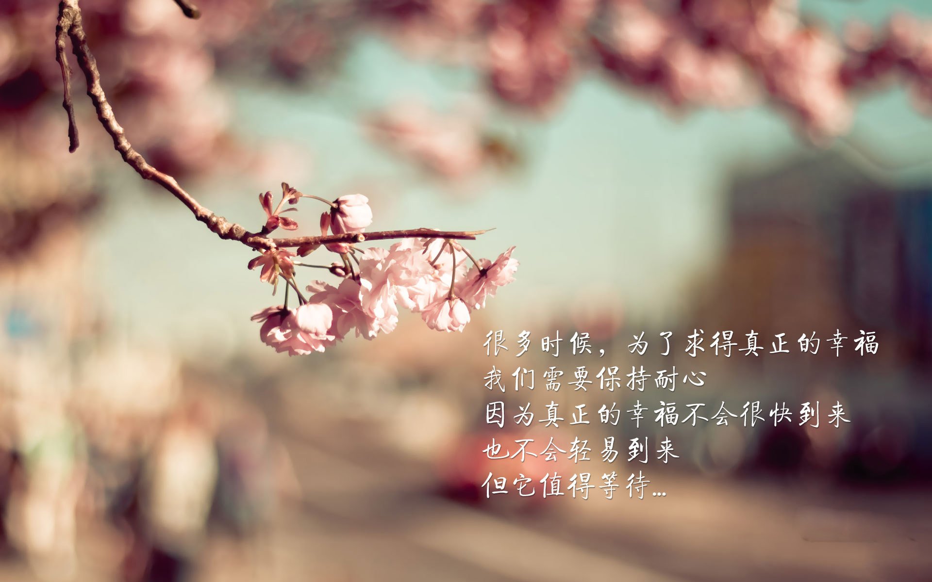 公牛季后赛首轮出局,球队面临阵容调整,公牛队下赛季阵容