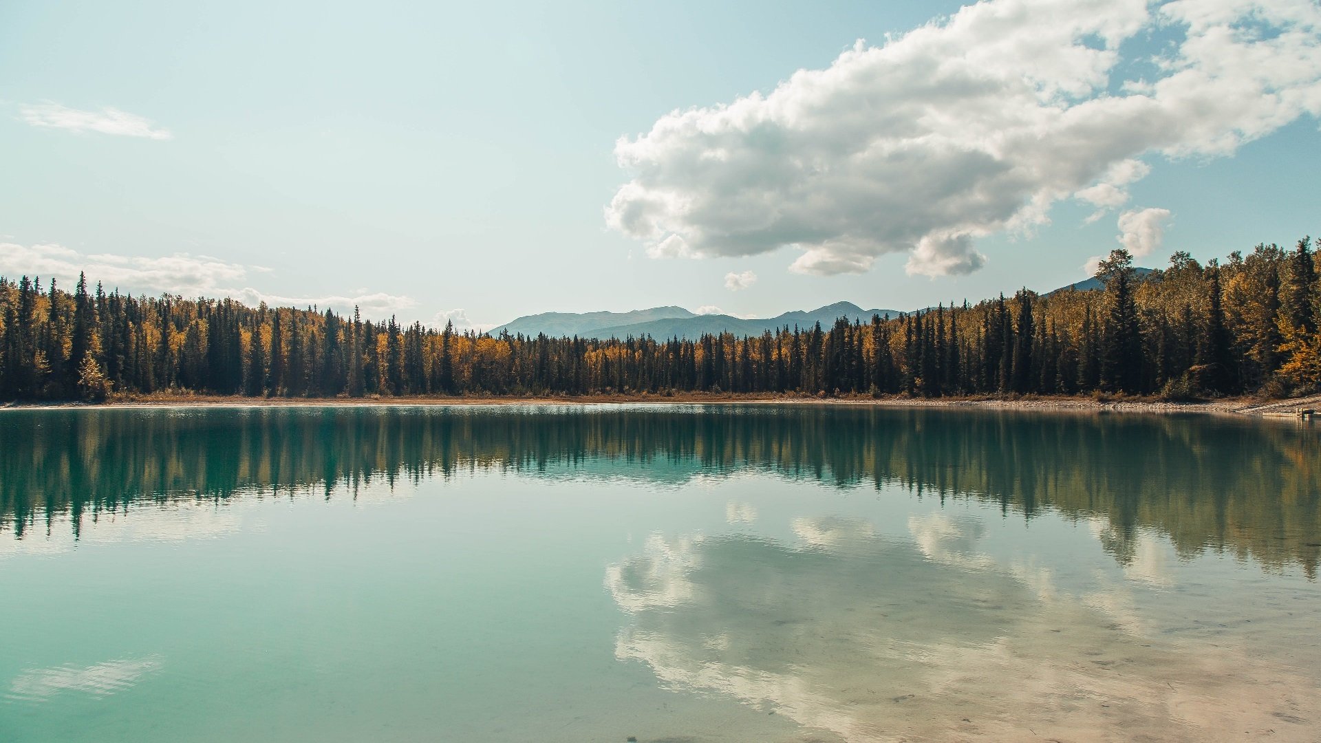 爱游戏娱乐-公牛队年轻阵容磨合成效显著，公牛队的阵容
