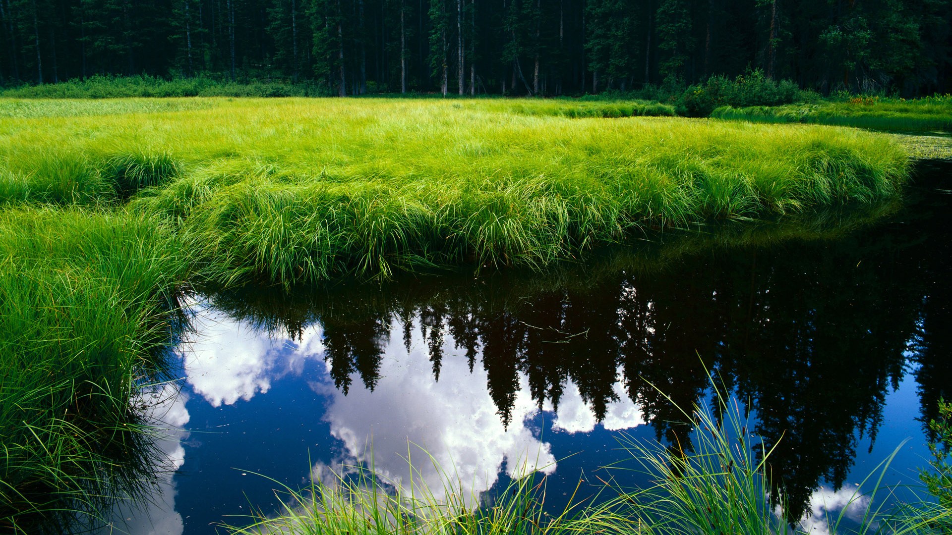 塞内加尔队在巴黎奥运会比赛中展现出高效的传球配合,塞内加尔队球星