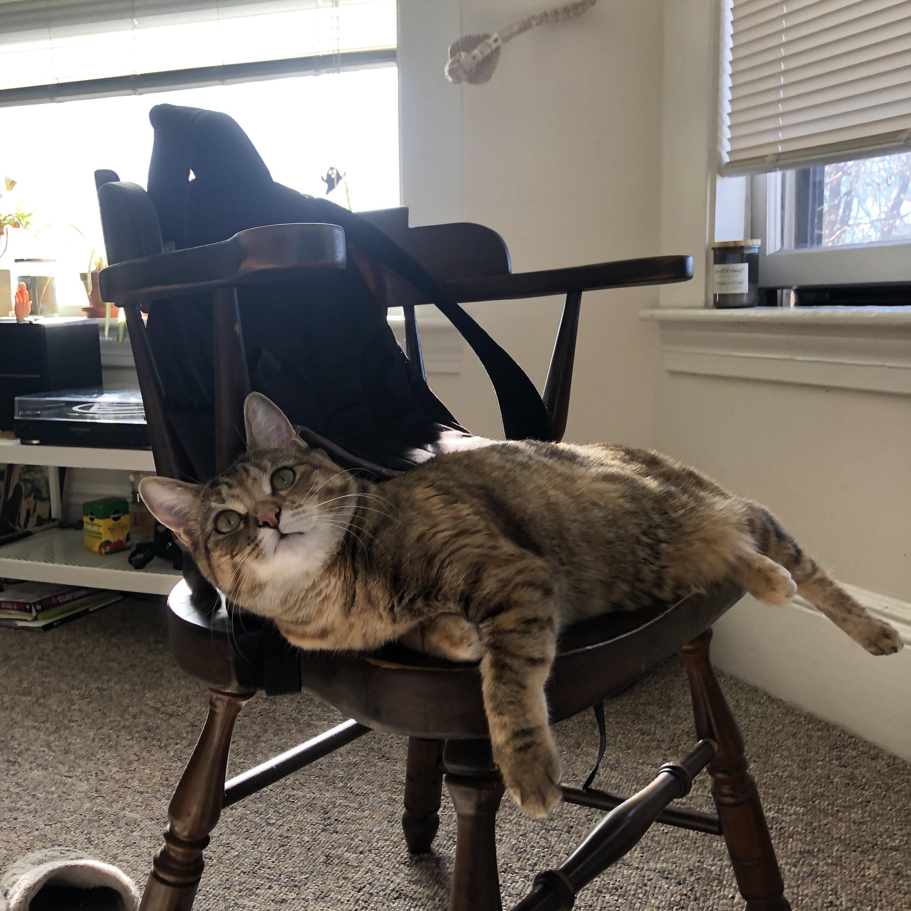 德国男子篮球队在四分之一决赛中战胜美国队，德国队4_2