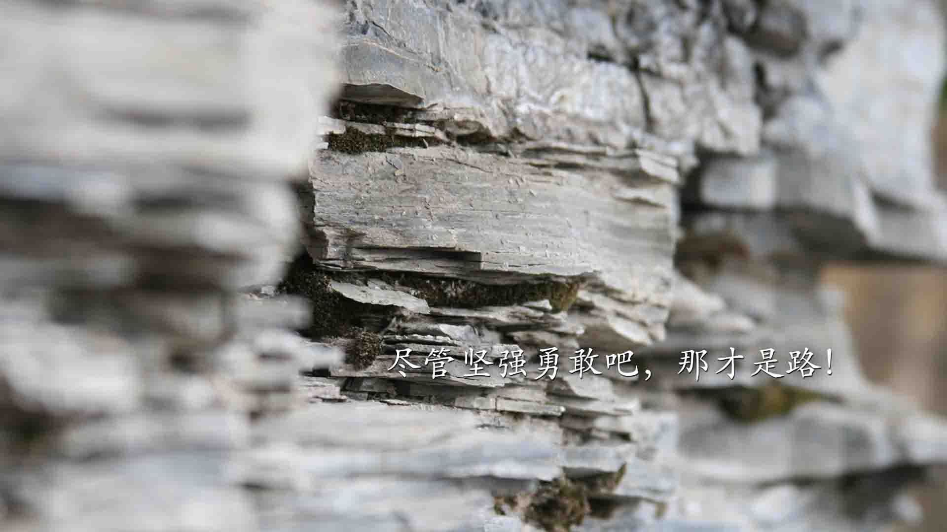 爱游戏娱乐-葡萄牙联赛顶级对决波尔图主场击败本菲卡，葡萄牙波尔图疫情最新消息