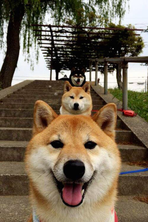 AYX体育官网-德甲球队视频分析提升防守站位调整效率的实证，德甲球队地理位置