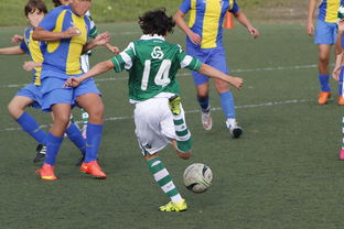 AYX GAMING-体育新闻中心发布体育内容原创度评估智能工具，原创体育sports