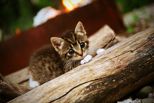 男子项目频传捷报