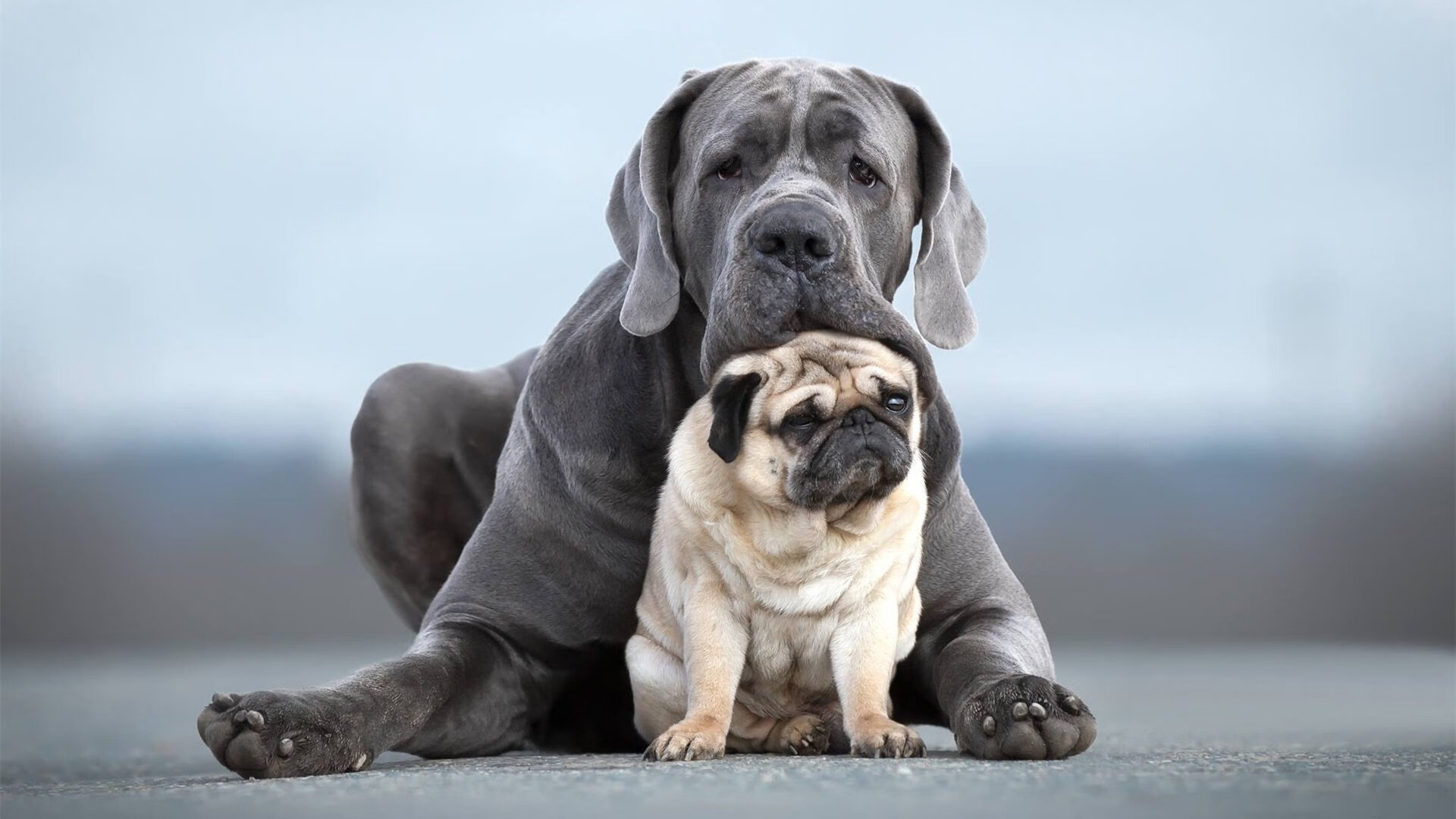电竞行业纳入体育项目体系政策支持逐步加强,电竞纳入国家体育了么
