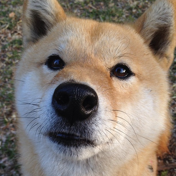 体育新闻中心公布体育赛事防疫常态化实施细则,体育赛事疫情防控方案及应急预案