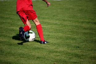 爱游戏中国官方登录入口网站-国脚待遇结构调整引导更多球员留在国内发展，国家队国脚