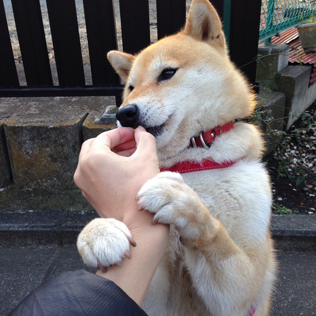 法甲新秀崭露头角：未来足球之星冉冉升起，法国足球未来之星